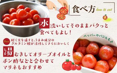 【2024年夏 先行予約】（7月中旬から順次発送予定）飛騨高山産 有機栽培トマト「彩りトマト」 3kg ミディトマト ミニトマト 詰合せ ミックス 樹熟 5種類以上 食べ比べ 野菜 山藏農園 飛騨高山