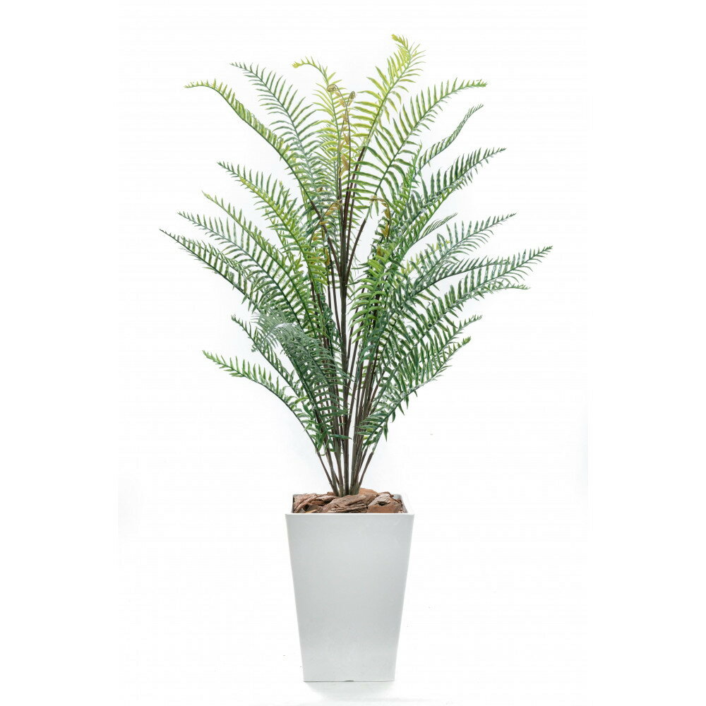 【ふるさと納税】人工観葉植物　シダ熱帯ポット ソードファーン　白樹脂鉢Sサイズ付