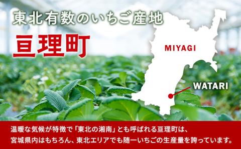 【1月発送】糖度の中に程よい酸味　亘理産おらほのいちご「もういっこ」