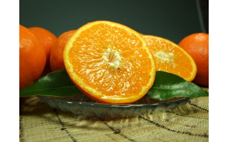 セミノールオレンジ 約5kg/サイズおまかせ　※2026年4月中旬～2026年5月下旬頃に順次発送予定(お届け日指定不可)　紀伊国屋文左衛門本舗　【kstb481B】