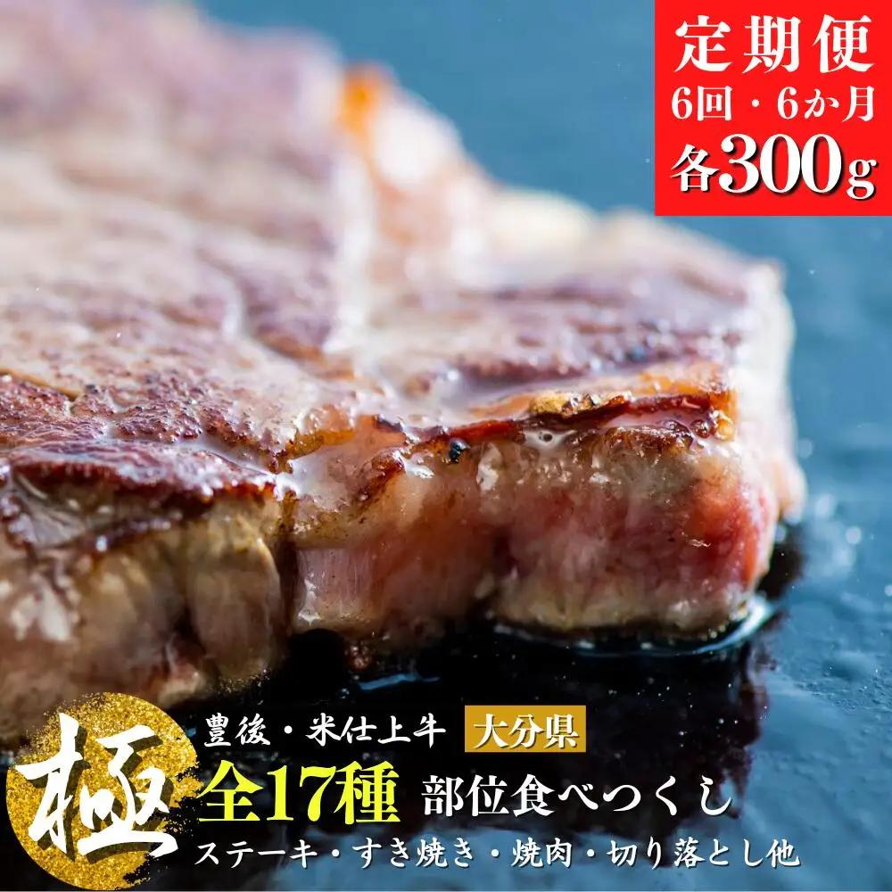 【定期便】豊後・米仕上牛 食べつくし【極】 牛