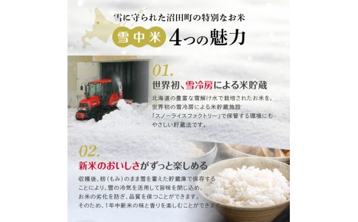 令和8年産【定期便4ヶ月】ななつぼし 無洗米 10kg（5kg×2袋）【2月発送】開始 雪冷気 籾貯蔵 雪中米 北海道 nr-3193