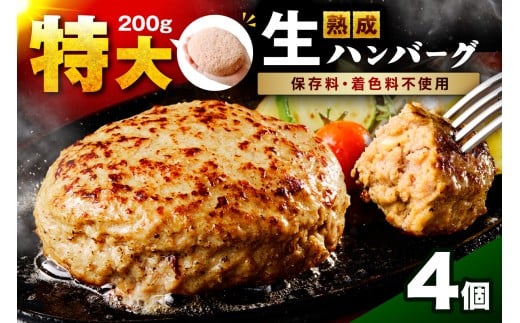 【無添加】食べ応え抜群！ 生ハンバーグ 200g 4個【087D-037】