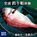 【ふるさと納税】徳島で一本釣り！【堂浦 釣り船 体験】徳島県 鳴門 一本釣 テグス発祥の地 海