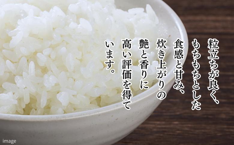 【新米】令和7年 佐賀県産「さがびより」5kg：B120-068