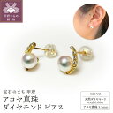 【ふるさと納税】 ピアス ジュエリー レディース アクセサリー 天然 ダイヤモンド 0.06ct パール アコヤ真珠 1粒 5.5mm 18金 イエローゴールド 上品 フォーマル 華やか ギフト プレゼント ご褒美 贈り物 ジュエリーケース付 鑑別書付 保証書付 k001-800