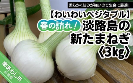 春の訪れ！淡路島の新たまねぎ（3㎏）　◆配送２月～５月下旬