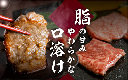 飛騨牛 カルビ 焼き肉 940g 寄合所耕 焼き肉 [Q2236ch]