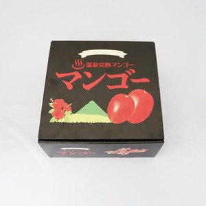 【2025年 発送】＜訳あり＞地下から湧き出る温泉と蒸気熱を利用栽培した温泉 完熟 マンゴー 約1kg(トロピカルファームいぶすき/016-1764) マンゴー フルーツ マンゴー 果物 くだもの 