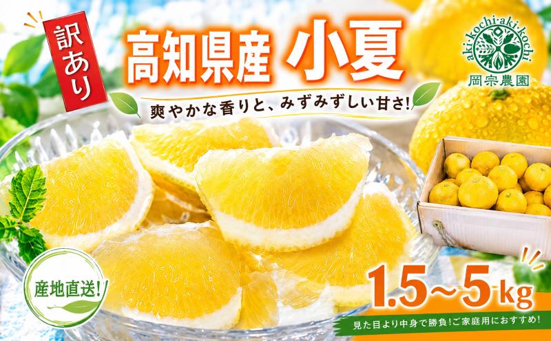 
                  【10/1より価格改定予定】【令和9年産】 小夏 1.5kg 3kg 5kg フルーツ 果物 みかん 期間限定 旬 柑橘 ギフト プレゼント 贈答用 こなつ 日向夏 ニューサマーオレンジ デザート スイーツ ジューシー 甘酸っぱい 爽やか 初夏 高知特産 季節の味覚 家庭用 自宅用 贈り物 お取り寄せ 産地直送 メリーガーデン 訳あり わけあり 家庭用  安芸市 高知県
                