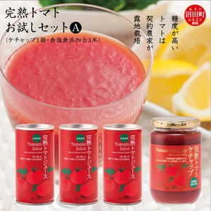 完熟トマトお試しセットA（ケチャップ1個・食塩無添加缶3本）保存料 無添加 国産 北海道産 ヘルシーDo認定 ESSEふるさとグランプリ銀賞 n-0062