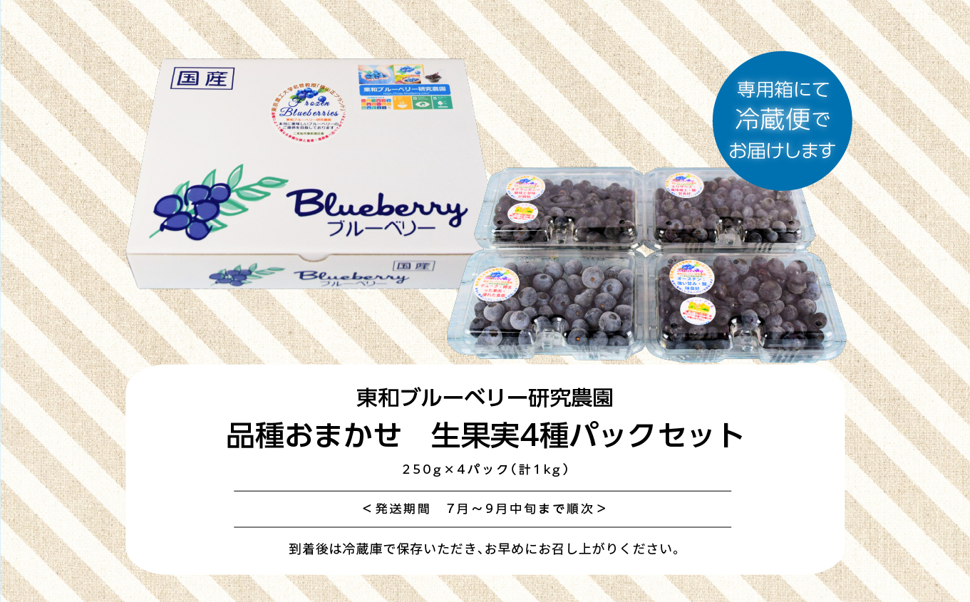 《2025年7月以降順次発送》東京農工大学名誉教授「横山　正」ブランドのブルーベリー果実1kg（品種おまかせ）【東和ブルーベリー研究農園】