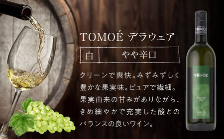 TOMOE 白ワイン 2本セット B シャルドネ リザーブ 辛口 デラウェア ワイン 受賞 飲み比べ ワインセット ギフト 三次市 / 広島三次ワイナリー[APAZ017]