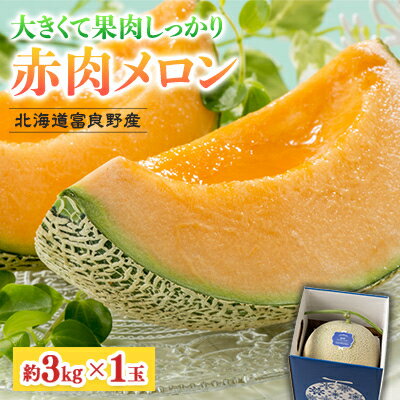 【ふるさと納税】【2026年発送】北海道富良野産 赤肉メロン 1玉(約3kg)　富良野メロン_ メロン めろん フルーツ くだもの 果物 ふるーつ 富良野 北海道 富良野メロン 赤肉 国産 産地直送 ギフト 贈答 高糖度 人気 おすすめ 美味しい 1玉 ジューシー 甘い 【1520602】