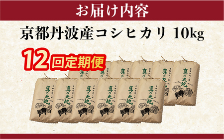 【12回定期便】令和7年産 コシヒカリ 10kg  定期便 精米 白米