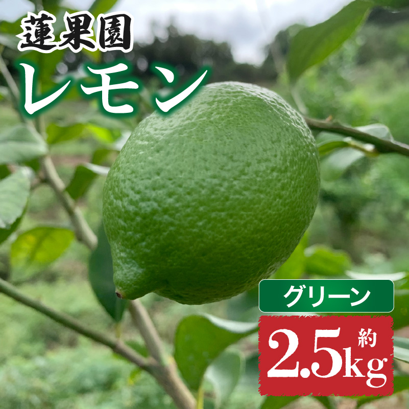 【先行予約】 【9月下旬から発送】 家庭用 グリーンレモン 約2.5kg 防腐剤 ワックス 不使用｜ 訳あり レモン 檸檬 完熟 柑橘 酸味 国産 愛媛県産 訳あり 新鮮 愛媛 松山