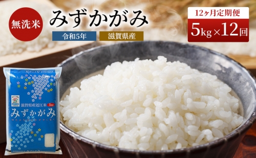 米 定期便 12ヶ月 みずかがみ BG無洗米 5kg 令和5年 ふるさと応援特別米 無洗米 お米 こめ コメ おこめ 白米 12回 お楽しみ