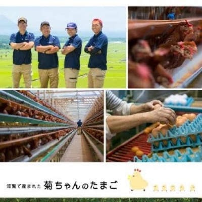 【発送月固定定期便】菊ちゃんのたまご(特級卵)(4・5・6月コース)全3回【配送不可地域：離島】