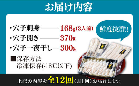【全12回定期便】対馬産 活〆 穴子 ３点 セットC【THE・対馬株式会社】《対馬市》新鮮 あなご 刺身 天ぷら 海鮮 肉厚 簡単調理 三人前[WAS014]