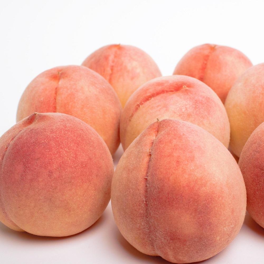 ［先行予約］和歌山の厳選白桃 約2kg［白鳳・清水白桃・川中島・もも・はくとう］［化粧箱入り］［IKE17］ 	BB90153