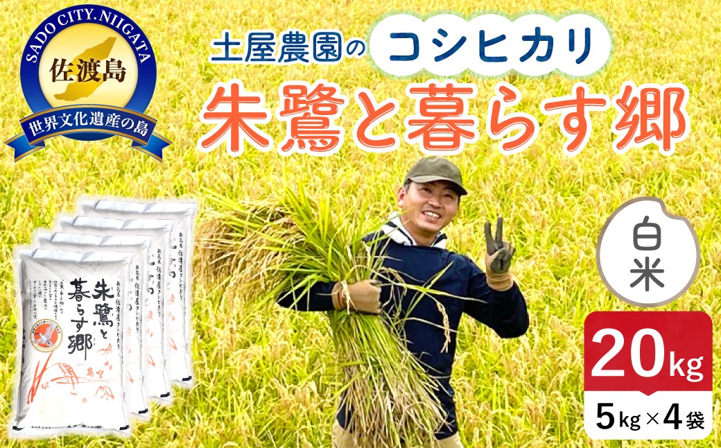 
                  佐渡島産コシヒカリ 白米 20kg（5kg×4袋） 令和7年産 特別栽培米 土屋農園 | 新潟県産コシヒカリ 新潟産コシヒカリ 佐渡産コシヒカリ 新潟県産こしひかり 佐渡産こしひかり お米 米 こしひかり 白米 精米 おこめ コメ 20キロ にいがた さど 新潟県 佐渡市
                