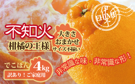 【2027年先行予約】不知火 訳あり しらぬい 約4kg ご家庭用 【2027年3月上旬以降発送予定】 みかん 愛媛 人気 サイズミックス 柑橘 伊予市｜B236
