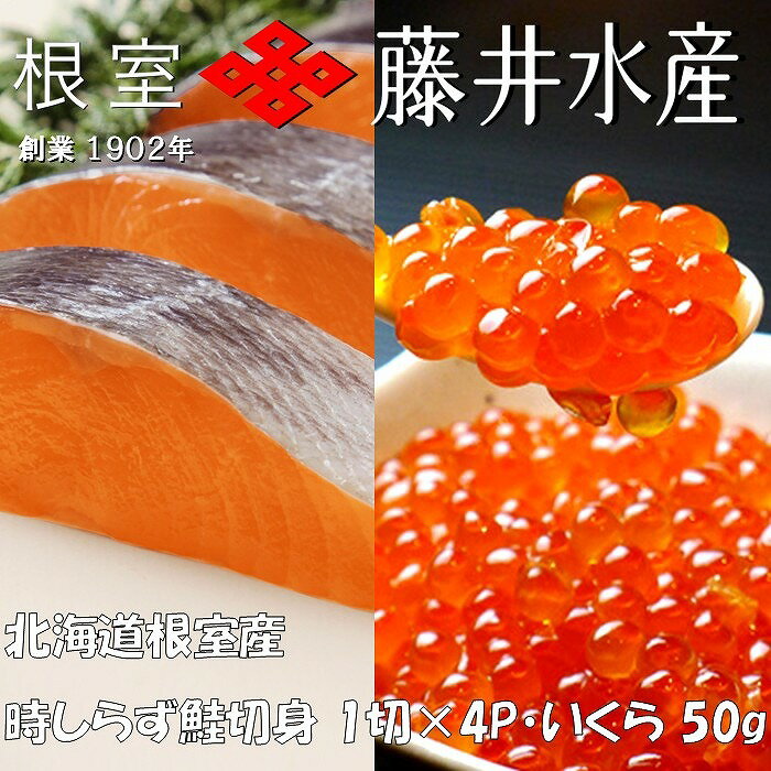 【ふるさと納税】【12月21日決済確定分まで年内配送】 [北海道根室産] 時しらず鮭 1 切 × 4P ・いくら醤油漬け 50g × 2P 鮭 さけ サケ しゃけ シャケ 魚 さかな サカナ 沖どれザケ 沖どれざけ 春ざけ 春鮭 時不知 時鮭 ときしらず 海鮮 イクラ 醤油 醤油漬 北海道 A-42134
