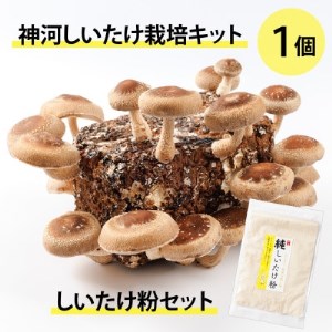 神河しいたけ栽培キット(しいたけ菌床)1個としいたけ粉セット　※10月～4月発送【1355229】