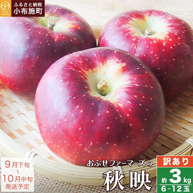 【ふるさと納税】【訳あり】 秋映 約3kg 6～12玉 ［おぶせファーマーズ］ 不揃い 規格外 家庭用 りんご 林檎 リンゴ 果物 フルーツ 長野県産 信州産 先行予約 数量限定 6000円 令和7年産 【2025年9月下旬～10月中旬発送】