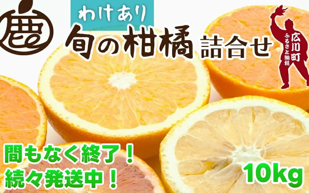 
            柑橘 詰合せ 10kg+300g 訳あり 光センサー / みかん 不知火 清見 八朔 伊予間 セミノール レモン ３種類以上 詰め合わせ 晩柑 ※1月上旬〜7月中旬に順次発送 ※北海道・沖縄・離島への配送不可【ikd049-c-10】
          