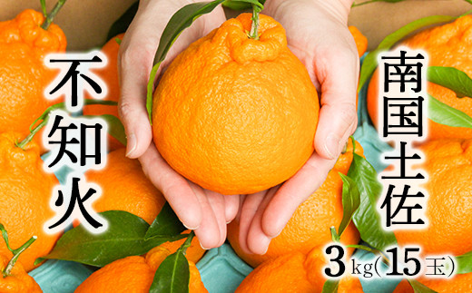 
柑橘・みかん　しらぬい（不知火）３ｋｇ　　15玉サイズ
