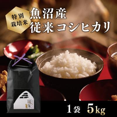 ふるさと納税 十日町市 【特別栽培米】頂米　金兵衛　魚沼産従来コシヒカリ(精米) 5kg