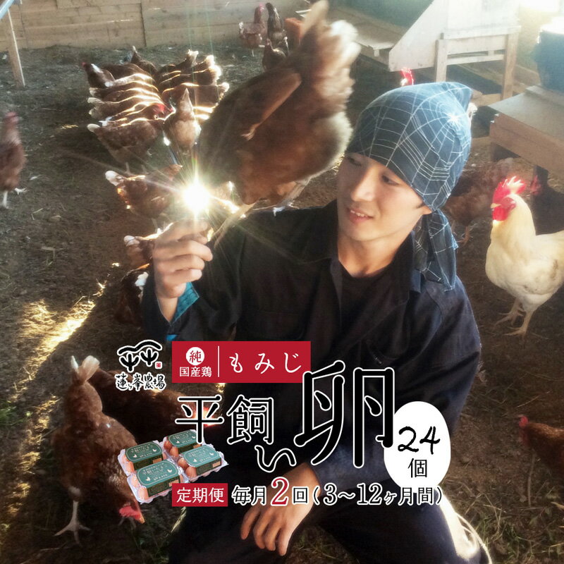 【ふるさと納税】【定期便月2回・選べる月数】京都奥丹波 純国産鶏もみじ 平飼いたまご 24個×月2回×3〜12ヶ月【 定期便 平飼い卵 卵定期便 たまご定期便 自家配合 たまご タマゴ 高級卵 平飼い 卵 国産 地産地消 純国産鶏 もみじの平飼い卵 綾部 京都 蓮ヶ峯農場 】