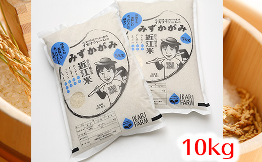 【6年産】冷めても美味しいあっさりとした味わい「みずかがみ」白米【10㎏（5㎏×2袋）】【C015U】