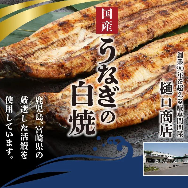 うなぎの白焼 2尾セット（特大サイズ 一尾 170g～200g）_国産 うなぎ 白焼 特大 一尾 170g ～ 200g × 2尾 うなぎ白焼き ひつまぶし 簡単調理 小分け アクセント 柚子胡椒 食