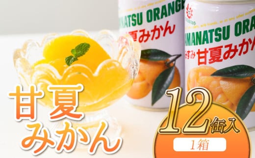 甘夏みかん 甘夏缶詰 12缶 固形量160g みかん缶