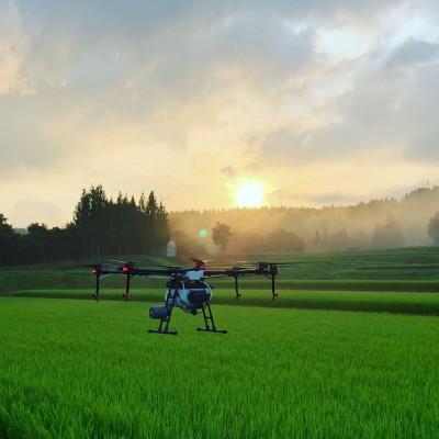 ふるさと納税 十日町市 【令和6年産】魚沼産特別栽培米コシヒカリ〈清津の恵〉精米 10kg(5kg×2袋) |  | 01