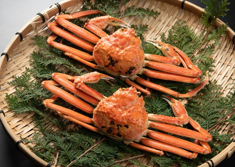 
                  ＜お魚センターみくりや＞松葉かに（ボイル）６００ｇ～７００ｇ×２枚【髙島屋選定品】
                