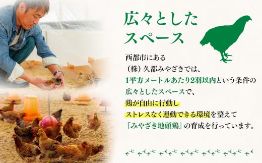 ブランド「じとっこ」みやざき地頭鶏 地鶏鍋セット＜1.5-58＞ 鶏肉 