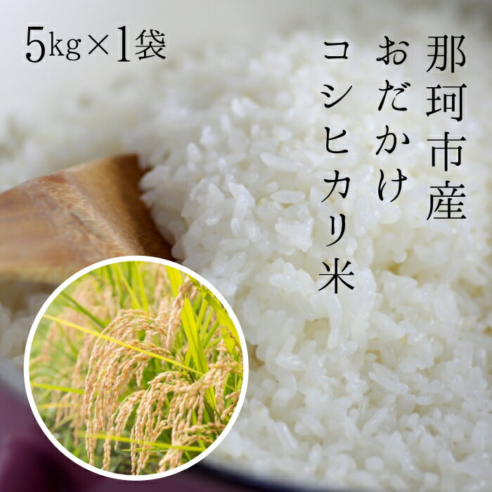 【ふるさと納税】令和7年度産 那珂市産 おだかけコシヒカリ米 5kg 米 お米 白米 こめ 精米 取り寄せ 特産 ごはん ご飯 コメ お取り寄せ ギフト 贈り物 お弁当 弁当 おにぎり ふっくら ツヤツヤ 甘い 農家直送 産地直送 国産 茨城県産 送料無料