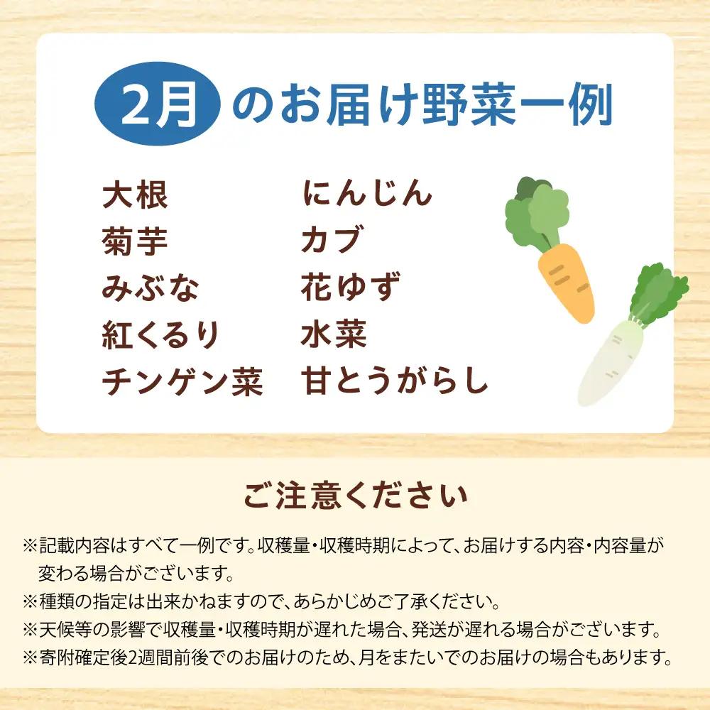 高槻野菜おまかせ詰め合わせセット 2月（10種~15種）[AOCS008] 野菜セット