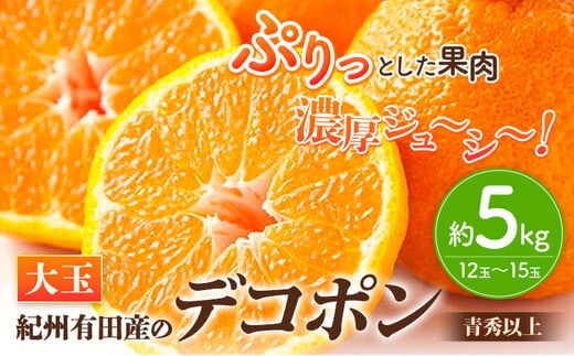 
										
										【お味濃厚】紀州有田産の大玉 デコポン 約5kg(12玉～15玉入り・青秀以上) 厳選館 《2025年1月中旬-4月上旬頃出荷》和歌山県 日高町---iwsh_gsk49_1c4j_24_20000_5kg---
									