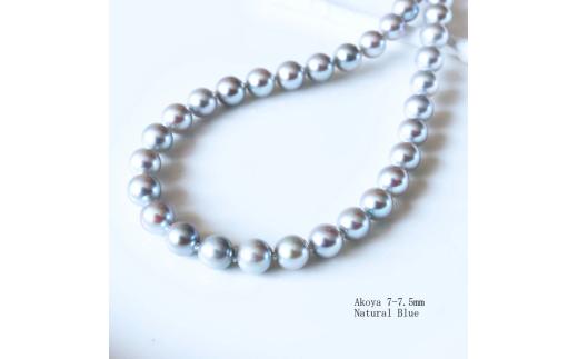 真珠 アクセサリー ネックレス パール 7mm ～ 7.5mm 伊勢志摩 志摩 志摩産 ギフト 母の日 ホワイトデー クリスマス 入学式 卒業式 成人式 結婚式 記念日 誕生日 フォーマル シンプル / 志摩産 あこや真珠 7-7.5mm ナチュラルブルー フォーマルネックレス 42cm
