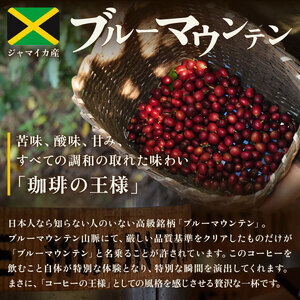 ドリップバッグ コーヒー ブルーマウンテン 100％ 5袋 自家焙煎 ドリップ パック バック 豆 粉 フィルター ジャマイカ ブルマン アラビカ レギュラー ストレート キャンプ アウトドア 旅行 