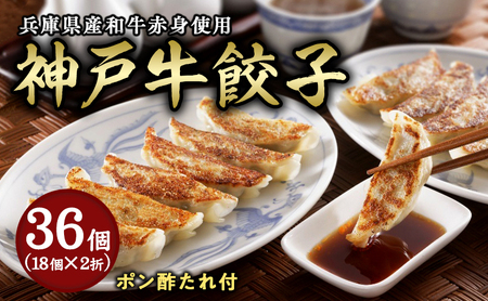 神戸牛餃子 2折セット【冷凍 ぎょうざ ギョウザ 中華 点心 惣菜 ギフト お中元 お歳暮】 熨斗：お歳暮