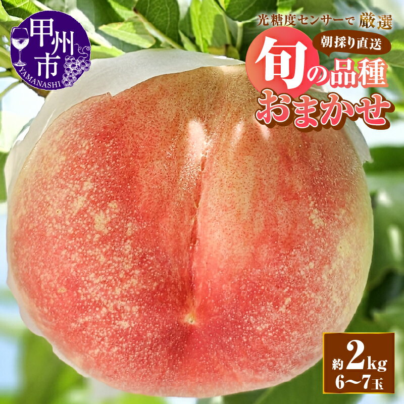 【ふるさと納税】 桃 2026年 先行予約 約2kg 6〜7玉 果物 もも フルーツ 果実 7月 8月 発送 大玉 朝採り 直送 厳選 人気 新鮮 品種おまかせ 期間限定 数量限定 ギフト 贈答 家庭用 山梨県 甲州市 （AF） 【B-450】