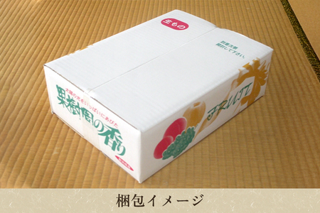 【2026年先行予約】【家庭用】和梨 豊水 3kg（6〜9玉）《9月上旬から順次発送》 ほうすい 梨