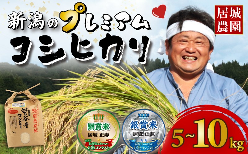 
                  【最短5日発送】 新潟 プレミアムコシヒカリ 5kg 10kg 令和7年産 特別栽培米 白米 精米 コシヒカリ 菅谷 こしひかり 新潟産 コシヒカリ 新潟米 新発田産 新発田 コシヒカリ 米 お米 ご飯 ごはん お弁当 おにぎり プレミアム ブランド米 美味しい 米 おすすめ 米 ブランド 新潟県 新発田市 居城農園 D78_2025P
                