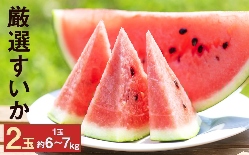 厳選 すいか 2玉 6kg〜7kg  メロンドーム 《2026年5月上旬より発送》