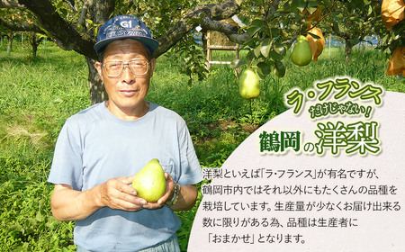 【令和7年産 先行予約】山形県鶴岡市産 洋梨定期便　3種類の洋梨をお届け　約3kg×3回 品種おまかせ　庄内産直センター